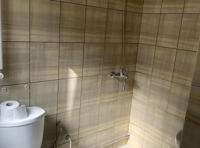 Bujtina Izet Selimaj 3*