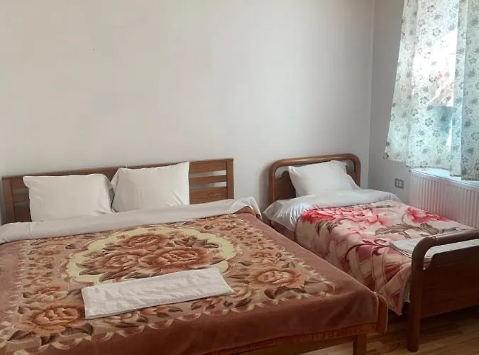 招待所 Bujtina Izet Selimaj 3*